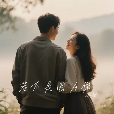 若不是因为你 (深情版)