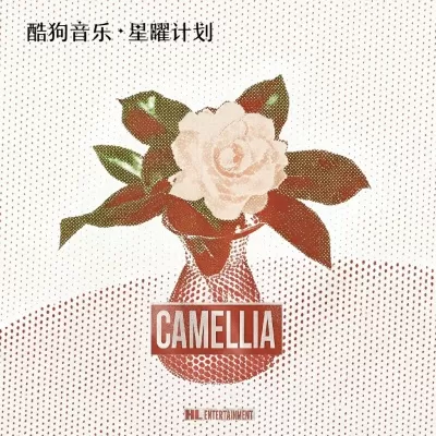 茶花开了，该回家了