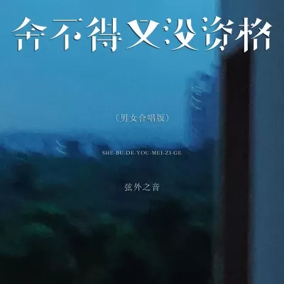 舍不得又没资格 (男女合唱版)